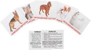 Породи собак. Карточки Домана на русском языке. Мини. 40 шт. 2503699554 фото