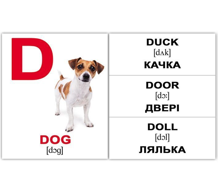 Картки Домана. Аlphabet/Абетка&raquo;. Карточки Домана англо-українські. 26 шт. 270613044 фото