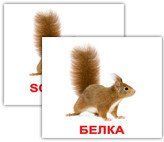 Дикі тварини/Wild animals МІНІ 40. Картки Домана. Російськомовний підпис. 477639360 фото