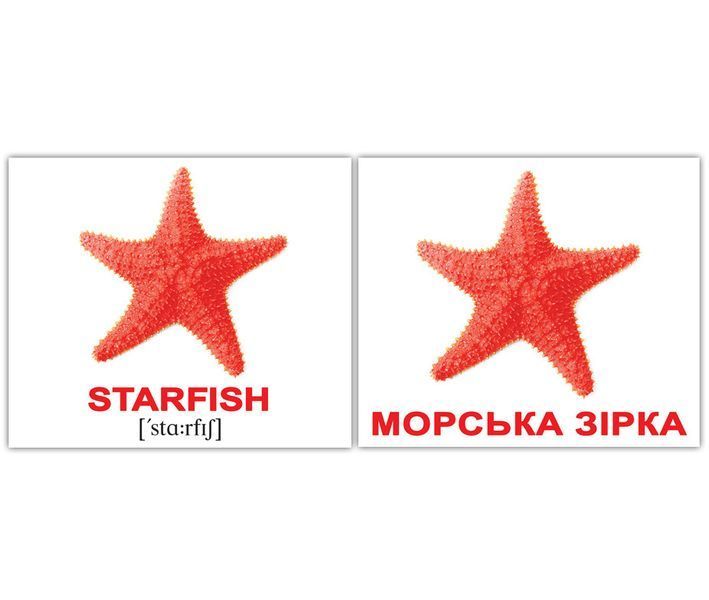 Водяні тварини/Water animals. Карточки Домана англо-українські. 40 шт. 969562918 фото