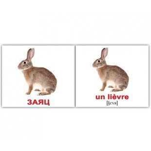 &ldquo;ДИКИЕ ЖИВОТНЫЕ/LES ANIMAIX SAUVAGES&rdquo;. МИНИ 20. Карточки Домана. 1231407934 фото