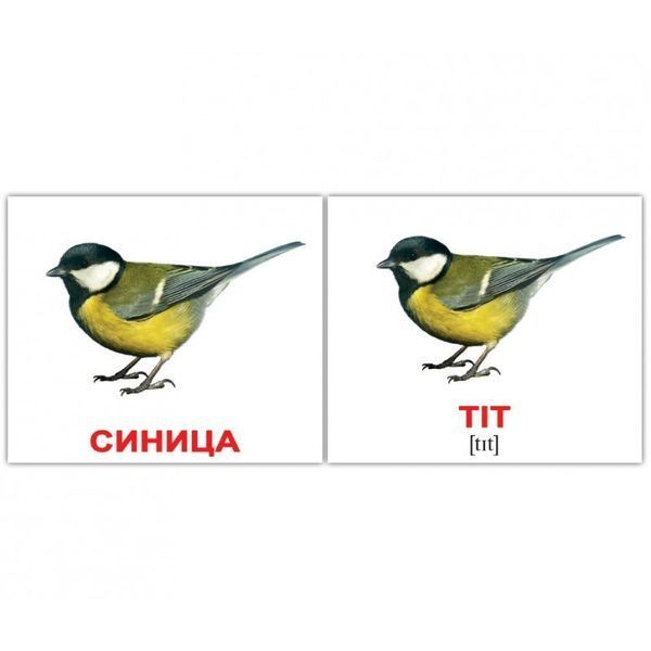 ПТИЦІ/BIRDS 40. Картки Домана. Російськомовний підпис. 1228433452 фото