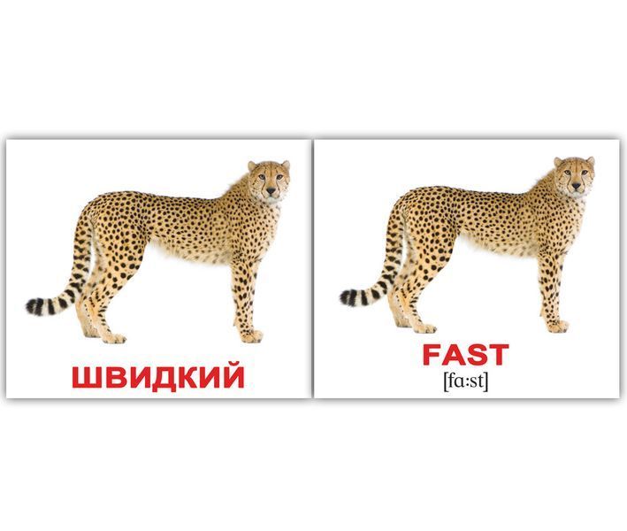 Прилагательные/Adjectives. Карточки Домана англо-украинские. 40 шт. 971099226 фото