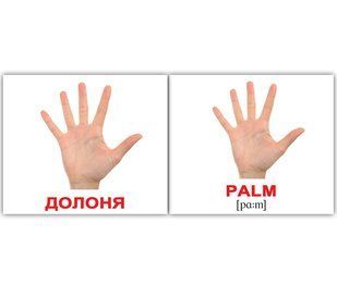 Людина/Human. Карточки Домана англо-українські. 40 шт. 971110003 фото