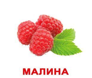 Ягоди. Картки Домана. Вундеркінд з пелюшок. Російськомовний підпис 223778512 фото