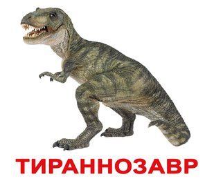 Динозавры. Карточки Домана. Вундеркинд с пелёнок. Подпись на русском языке 223778651 фото