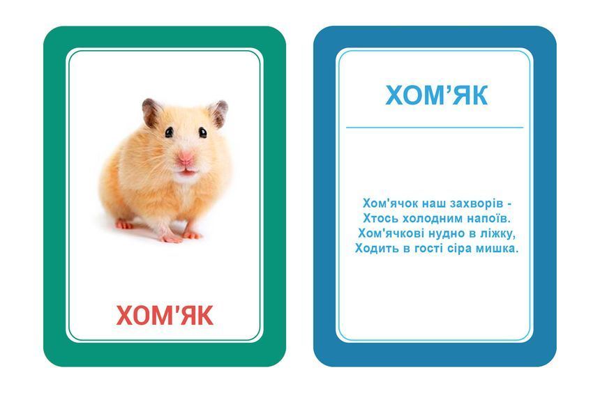 Набор карточек "Логопедка Щ+Х". Украиноязычный вариант. 1367304749 фото