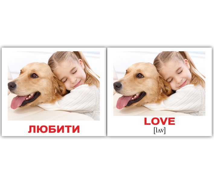 Картки Домана. Дієслова/Verbs. Карточки Домана англо-українські. 40 шт. 270486518 фото