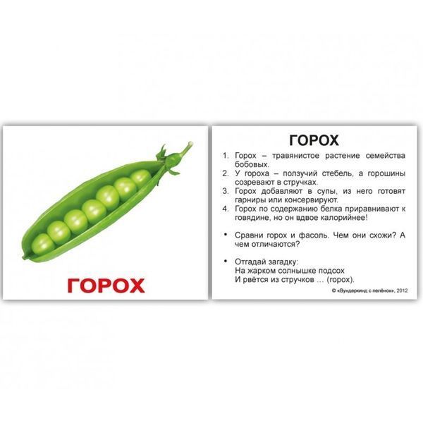 Овощи с фактами. Карточки Домана на русском языке. Мини. 40 шт. 1230054765 фото