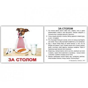 Правила поведінки. Картки Домана. Міні. 40 шт. Російськомовний підпис. 1230060960 фото